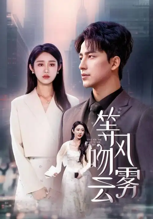 雾港迷局 悬疑推理剧全集在线观看